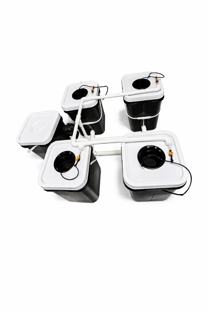 Kit hydroponique 4+1 Dutch Bucket