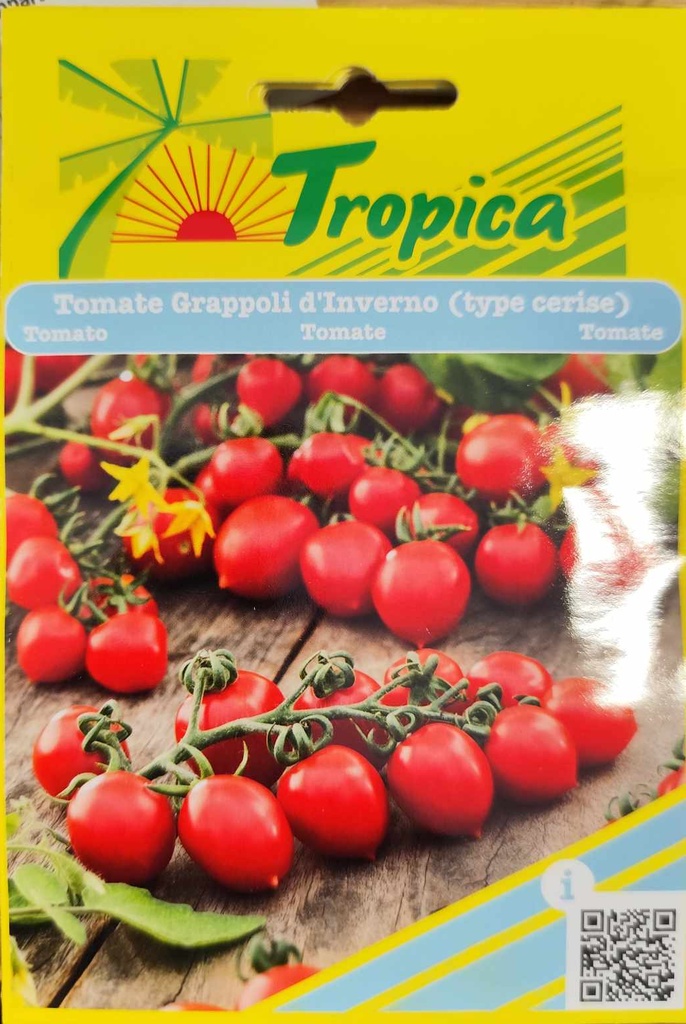 SEMENCES TOMATE GRAPPOLI D'INVERNO