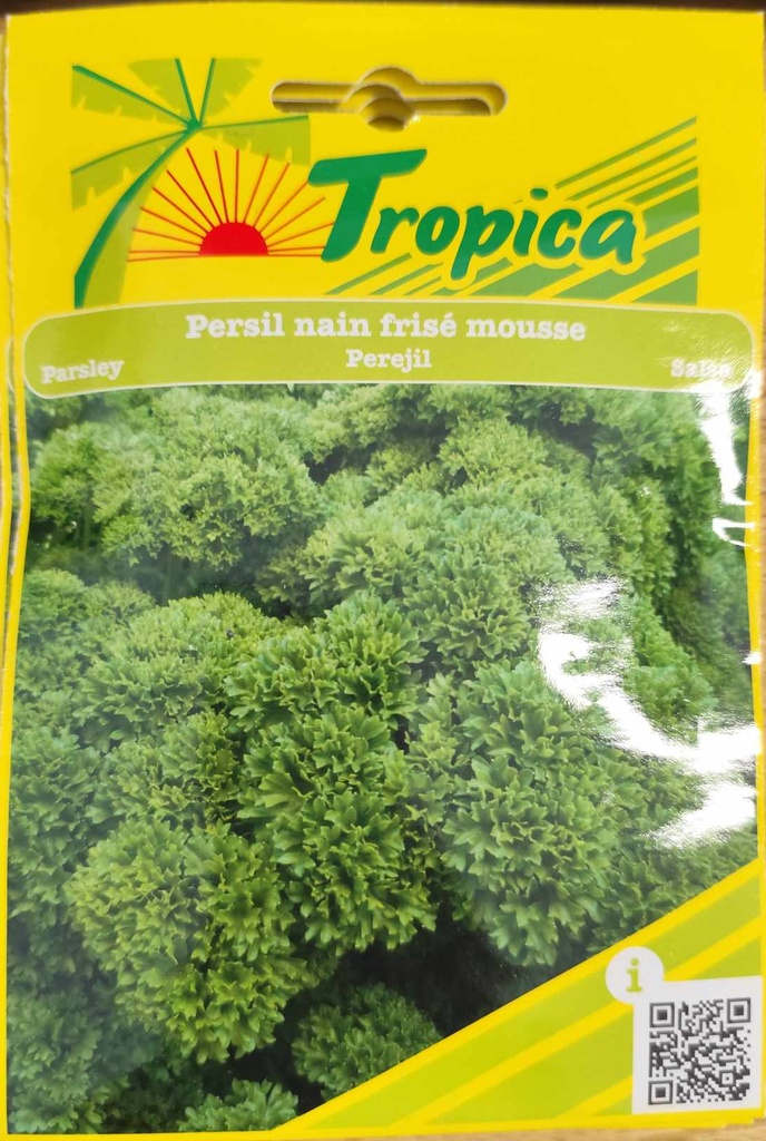 SEMENCES PERSIL FRISEE MOUSSE