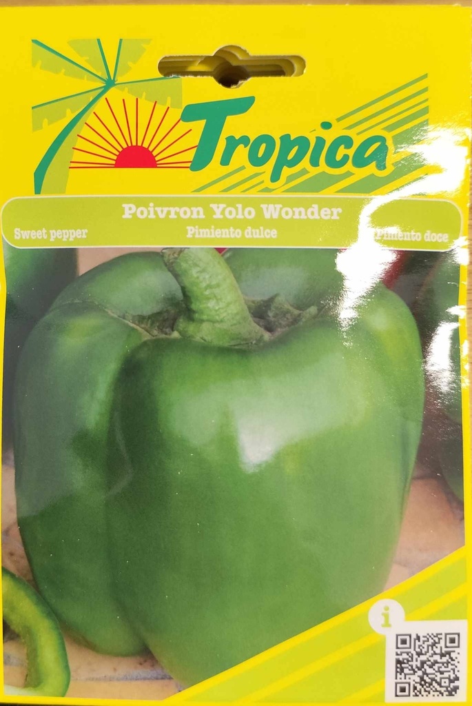 [[SEM 044]] SEMENCES POIVRON YOLO WONDER
