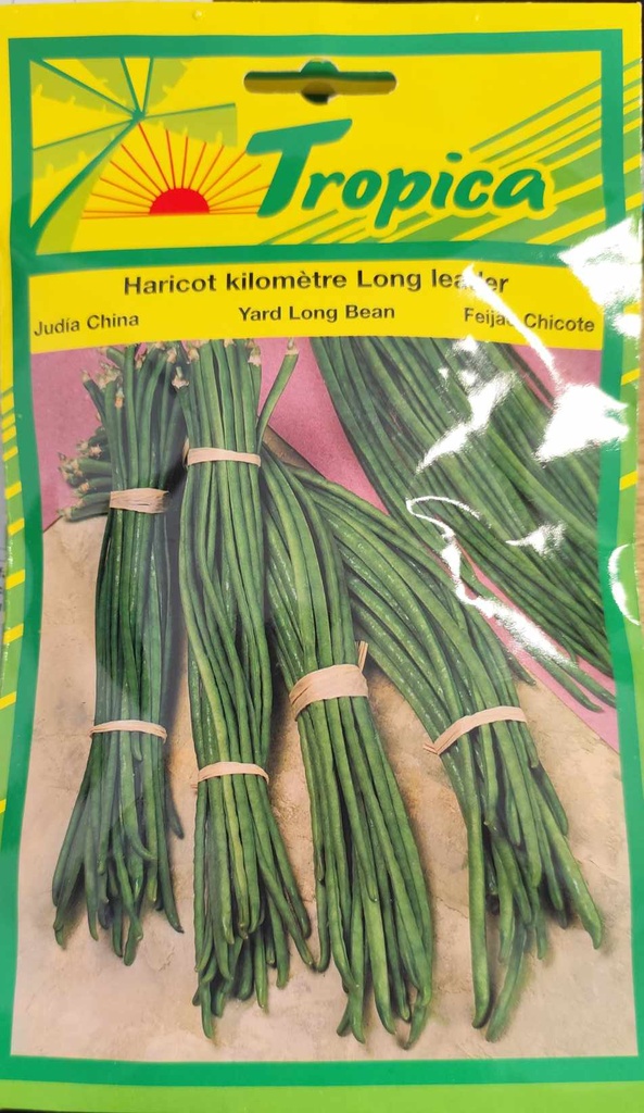 SEMENCES HARICOT KILOMETRE LONG LEADER