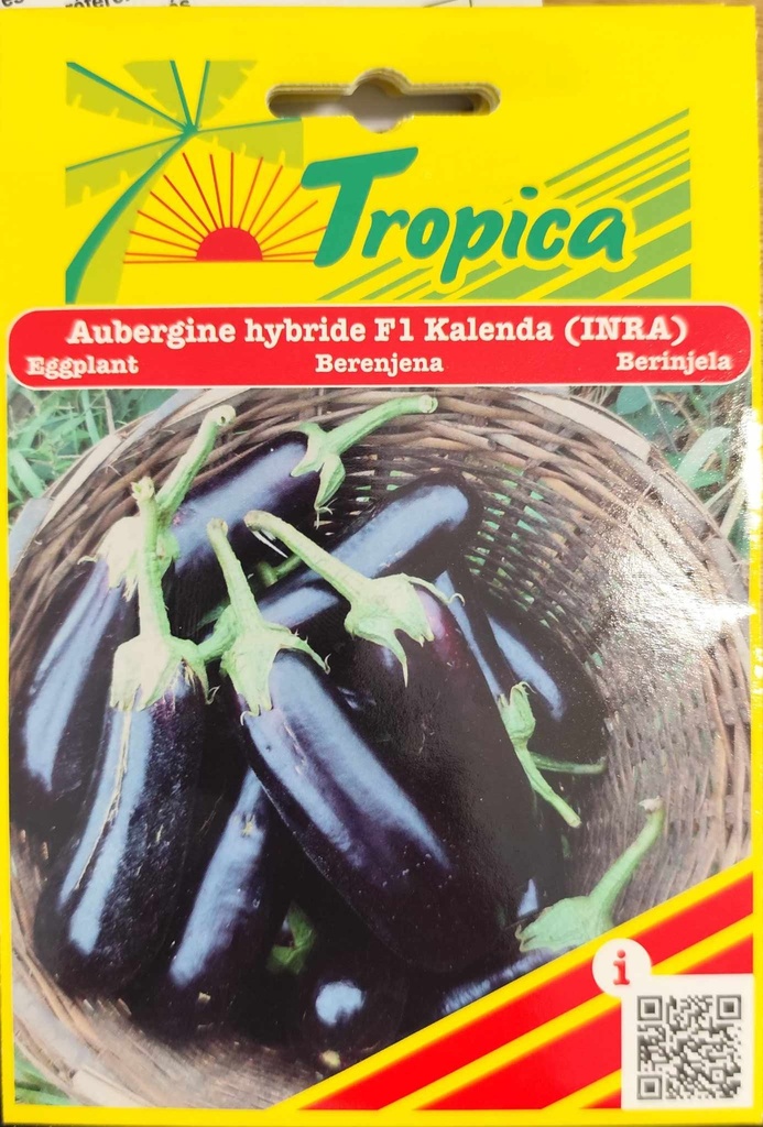 SEMENCES AUBERGINE HYBRIDEF1 KALENDA