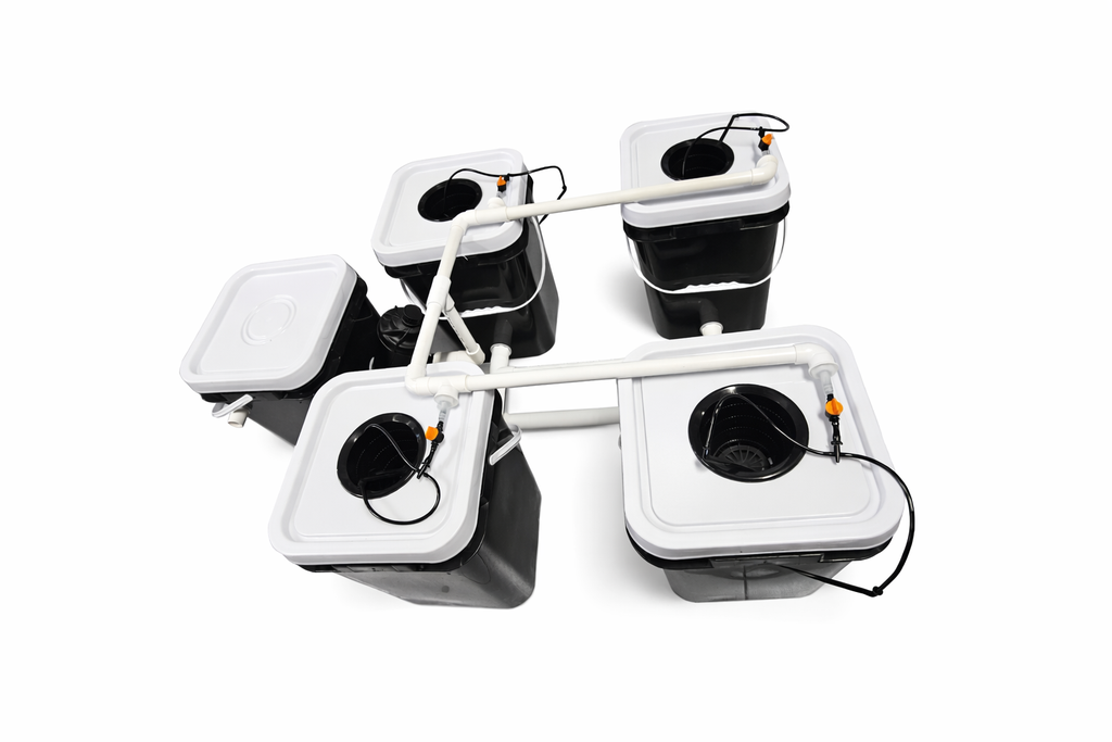 [SHL005] Kit hydroponique 4+1 Dutch Bucket