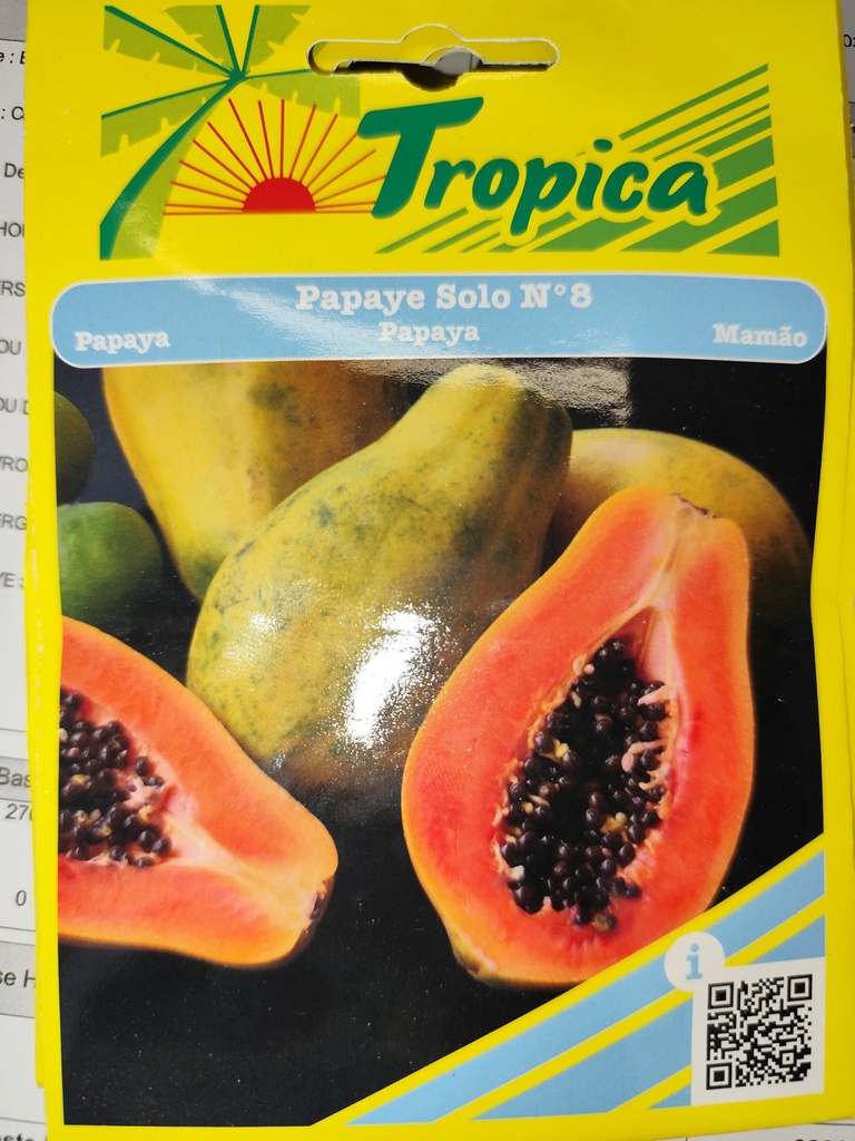 SEMENCES PAPAYE SOLO N8 TROPICA