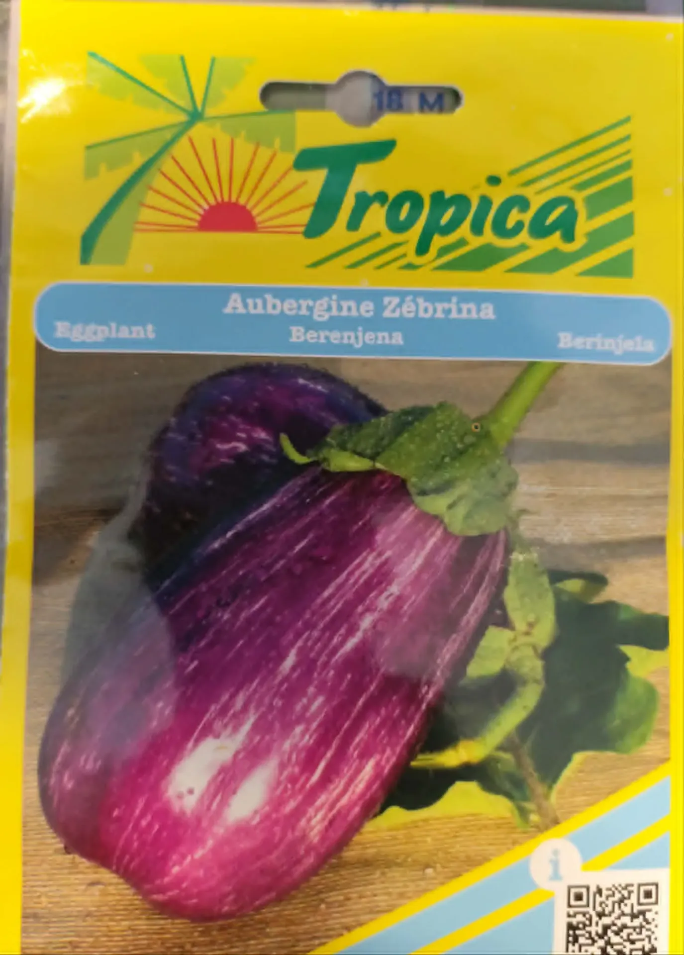 SEMENCES AUBERGINE ZEBRINA