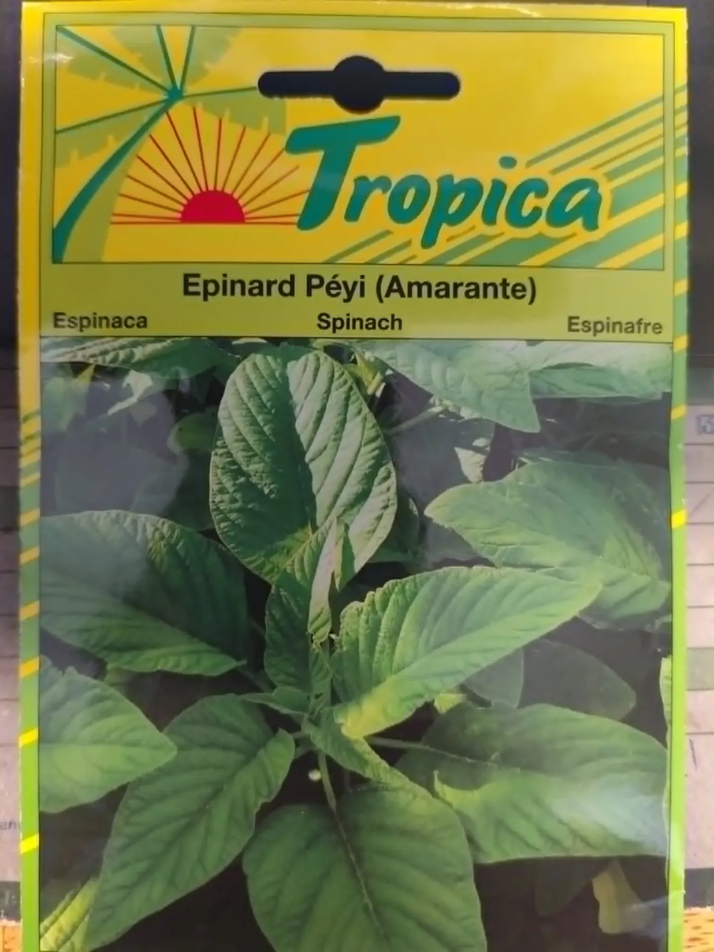 [[SEM 145]] SEMENCES EPINARD PEYI