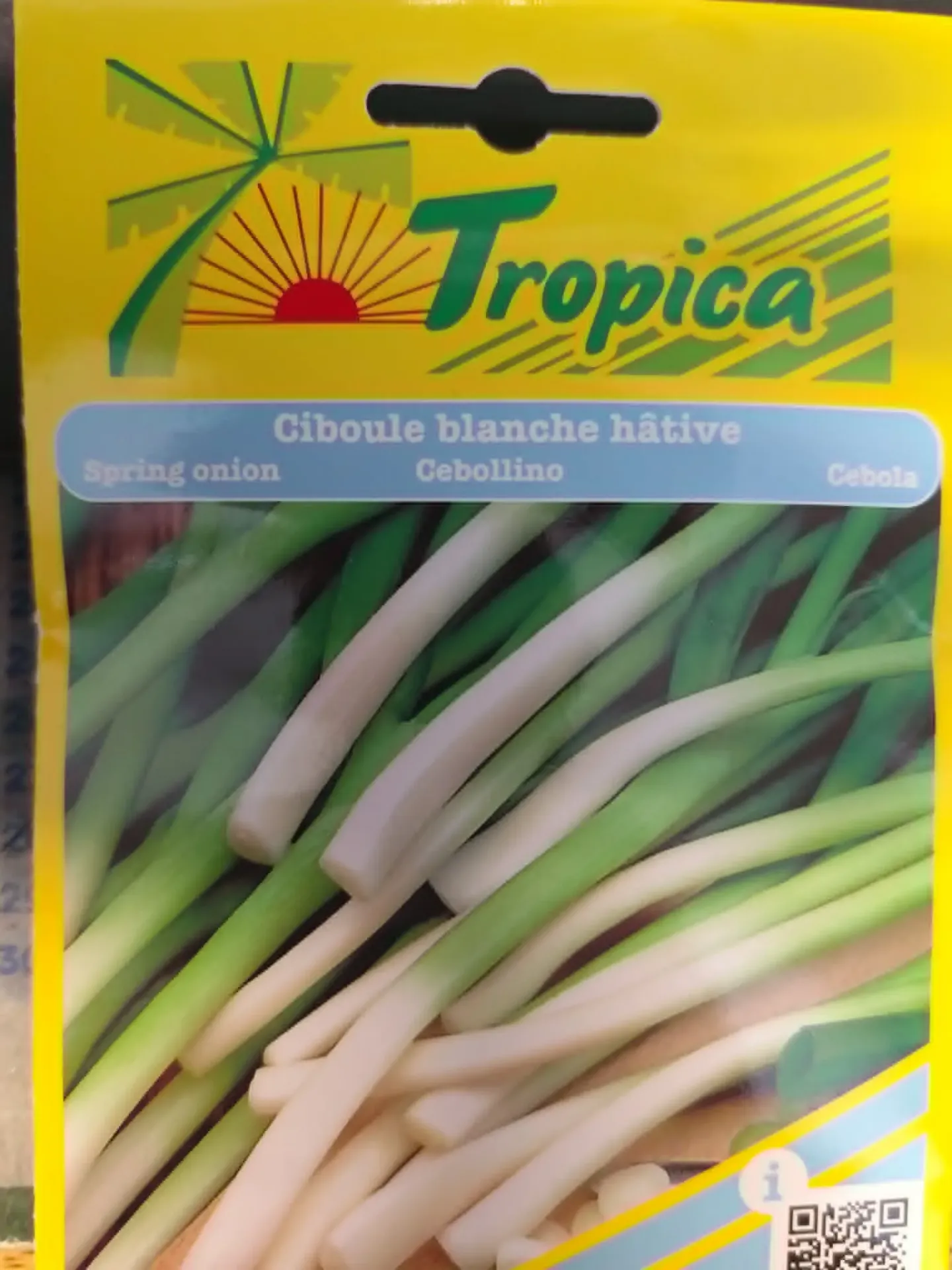 SEMENCES CIBOULE BLANCHE HATIVE
