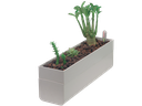 Canal Oasis