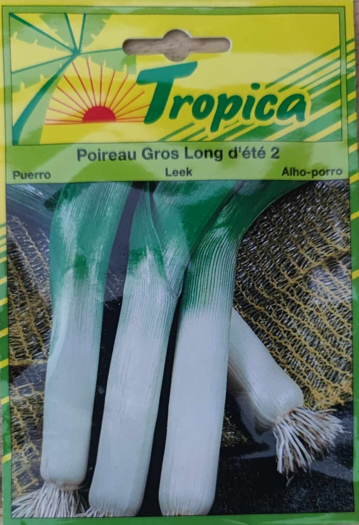 [SEM 073] SEMENCES POIREAU GROS LONG D'ETE