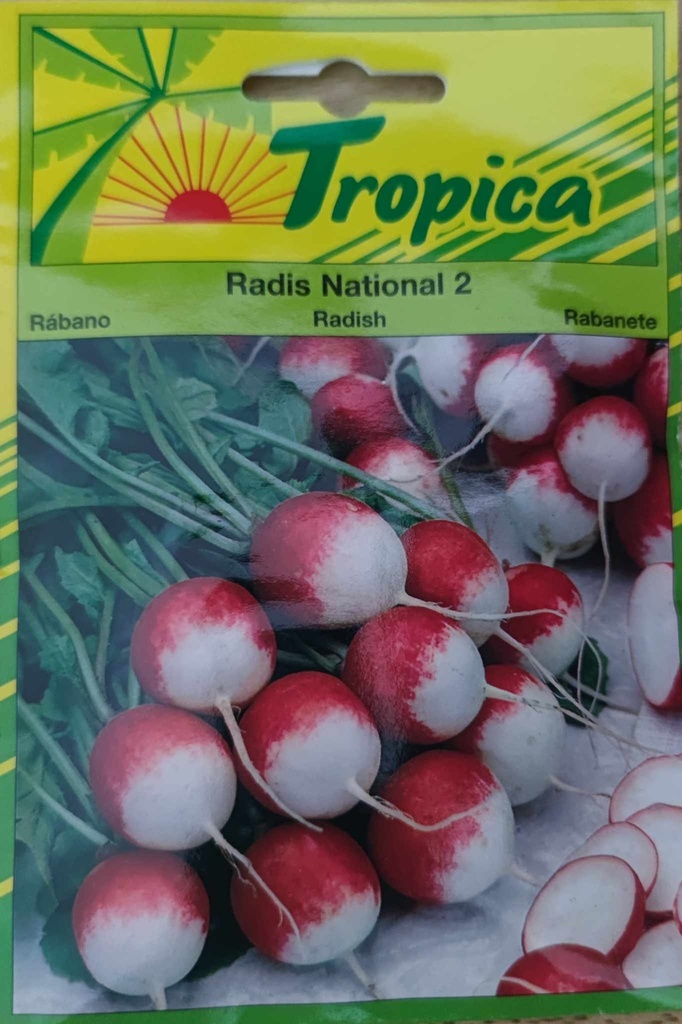 [SEM 046] SEMENCES RADIS NATIONAL 2