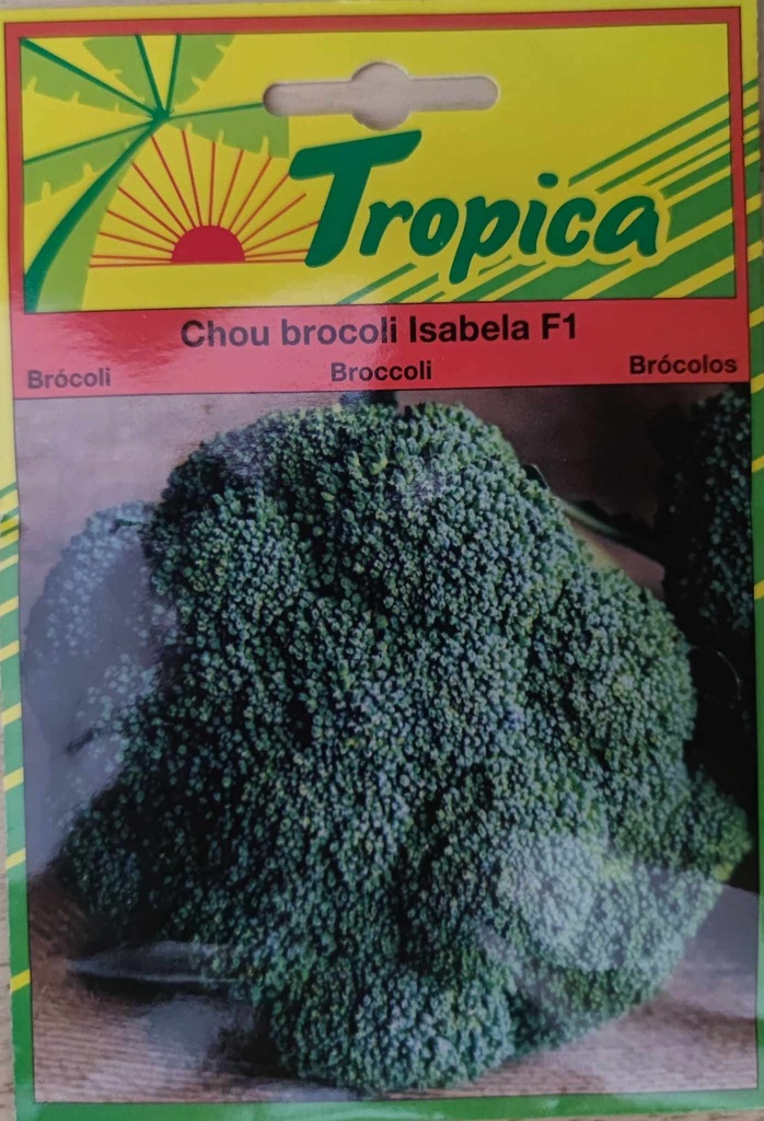 SEMENCES CHOU BROCOLI HYBRIDE F1 ISABELA