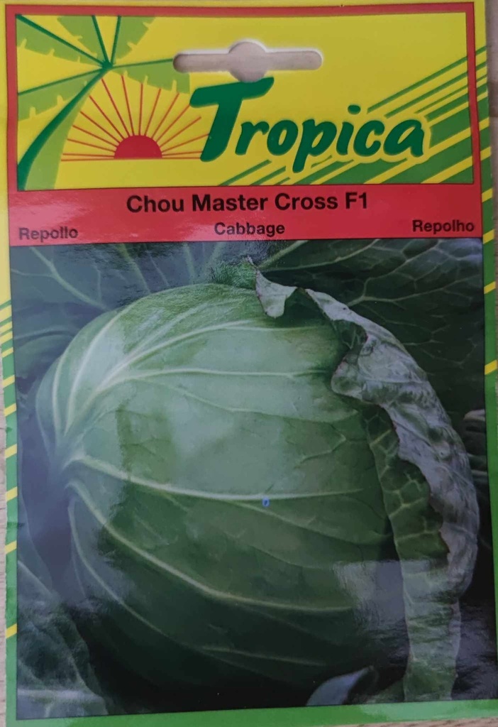 [SEM 089] SEMENCES CHOU MASTER CROSS F1