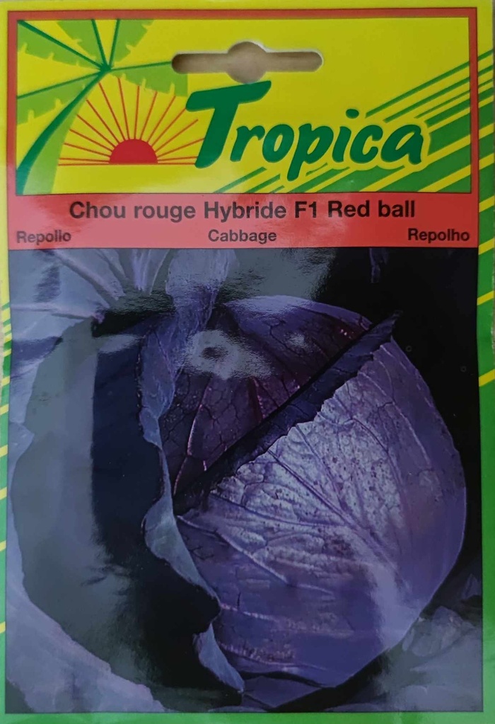[SEM 113] SEMENCES CHOU ROUGE F1 RED BALL