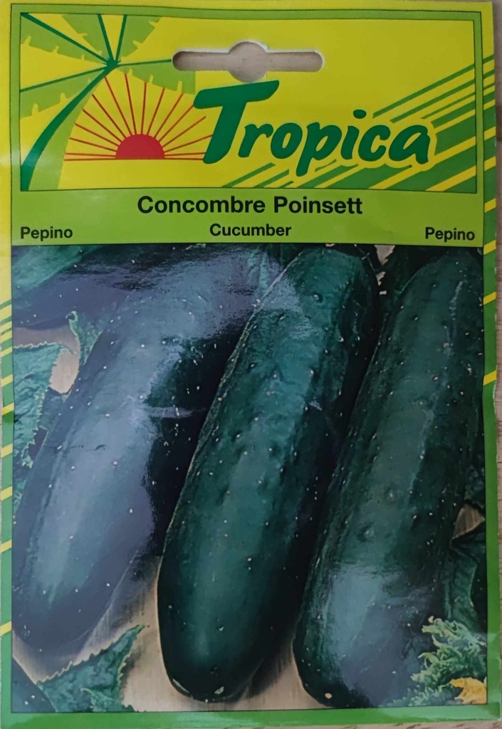 [[sem 015]] SEMENCES CONCOMBRE POINSETT
