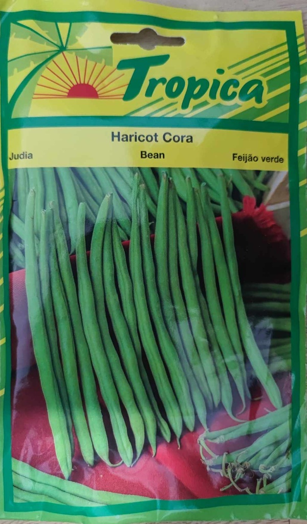 [[SEM 058]] SEMENCES HARICOT CORA