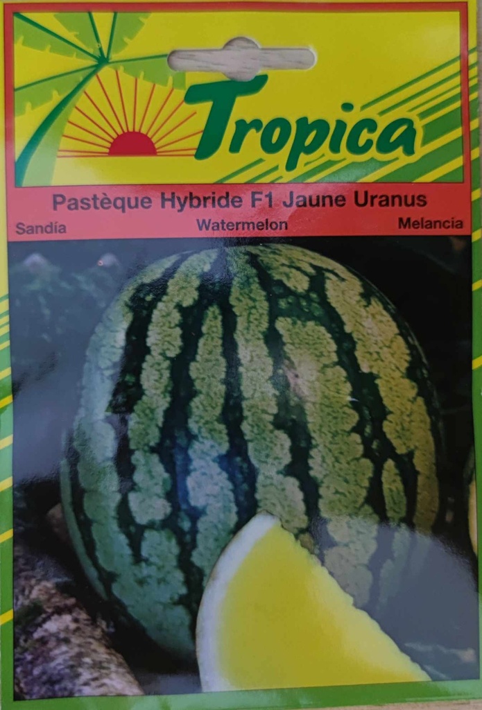 [[SEM 035]] SEMENCES PASTEQUE HYBRIDE F1 JAUNE URANUS