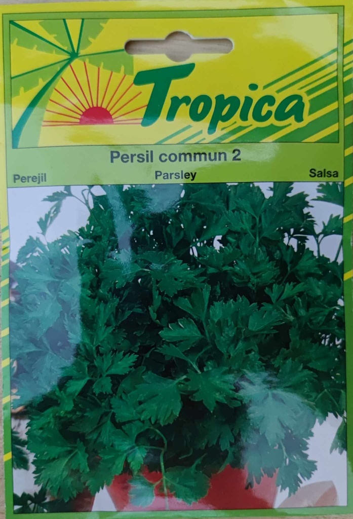 [[SEM 037]] SEMENCES PERSIL COMMUN