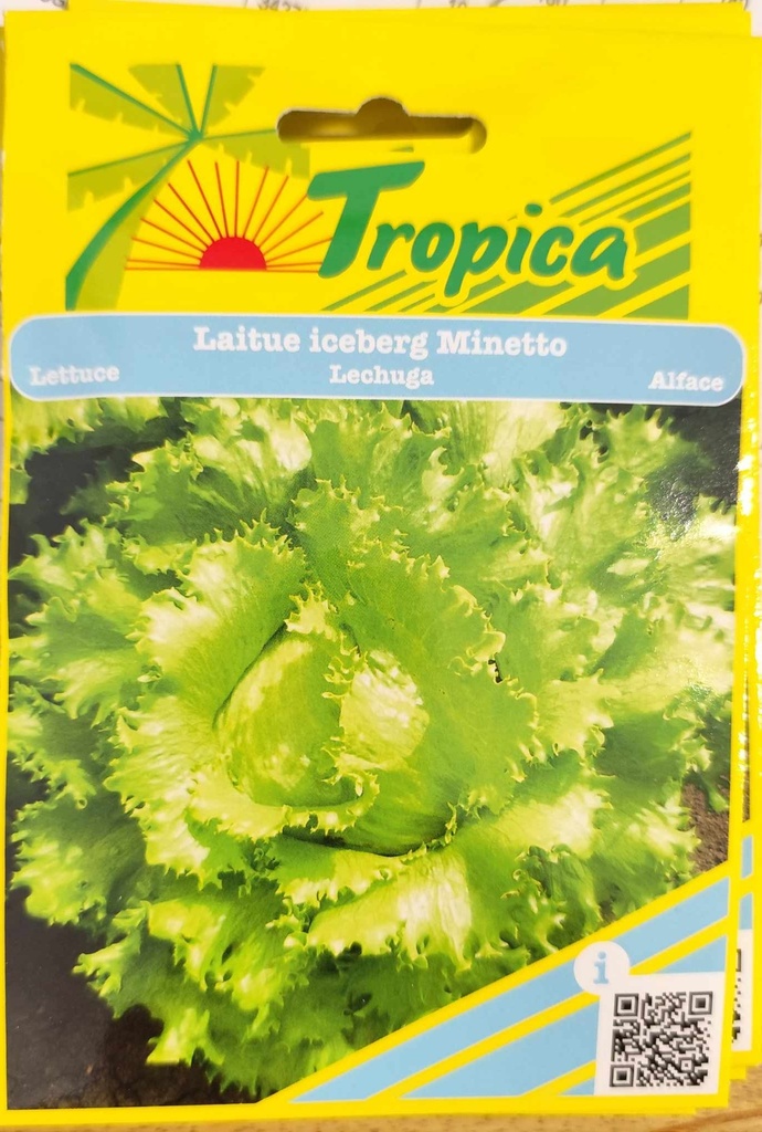 SEMENCES LAITUE ICEBERG MINETTO
